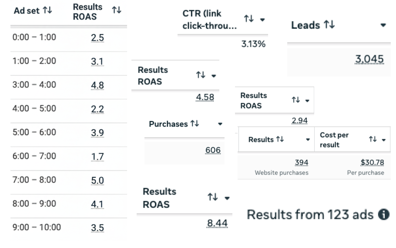 Meta Ads dashboard showing ROAS and conversion metrics
